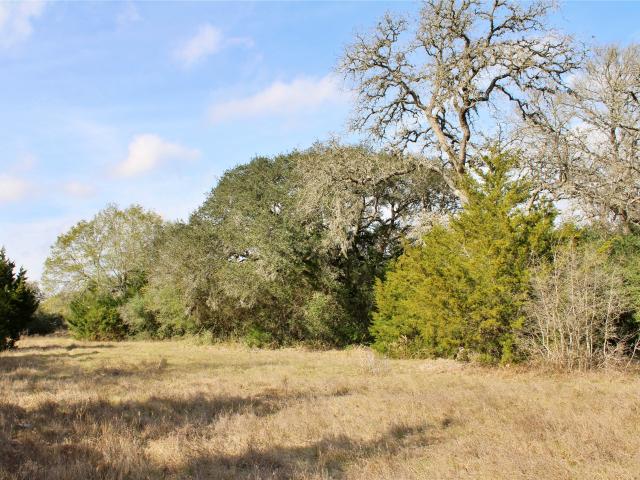 Land for sale in Columbus, Colorado County