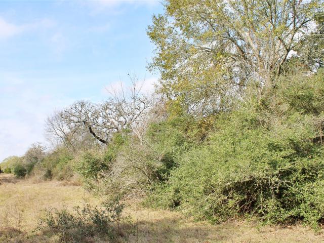 Land for sale in Columbus, Colorado County