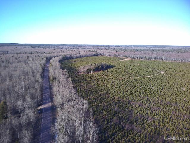 Land for sale in Au Train, Michigan