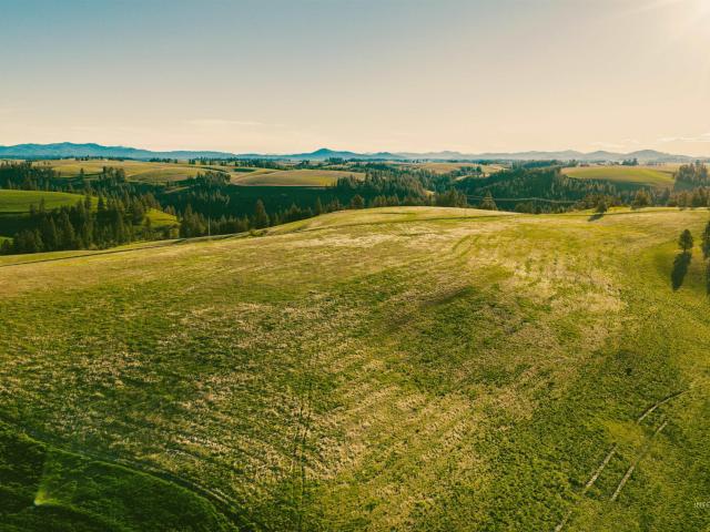 Property for sale in Troy, Idaho