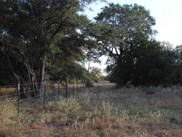 Land for sale in Columbus, Colorado County