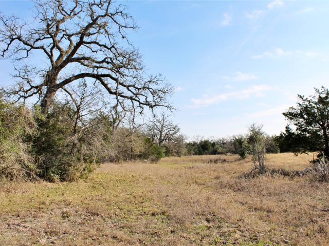 Land for sale in Columbus, Colorado County