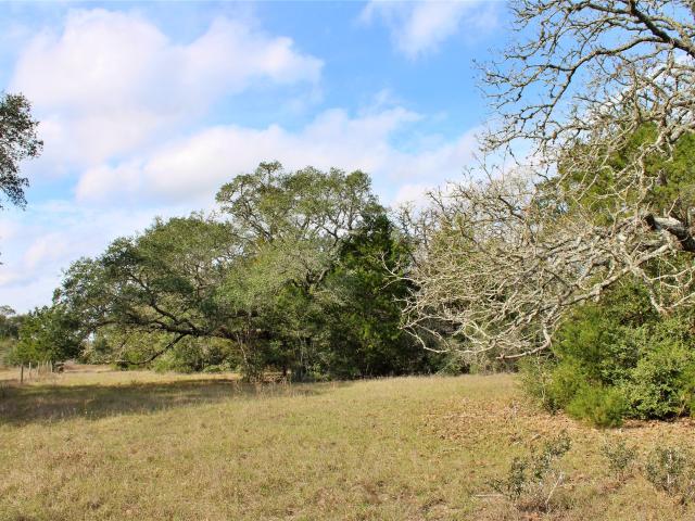 Land for sale in Columbus, Colorado County
