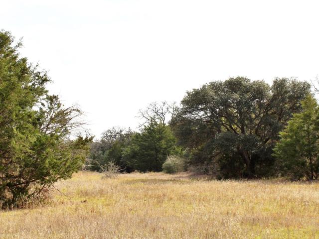 Land for sale in Columbus, Colorado County