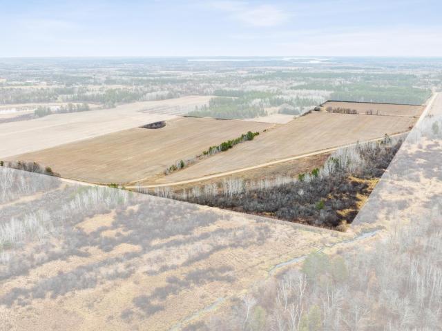 Land for sale in Jenkins, Minnesota