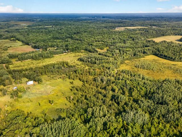 Land for sale in Dell Grove Township, Pine County