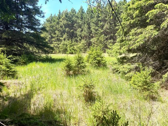 Land for sale in Minnesota