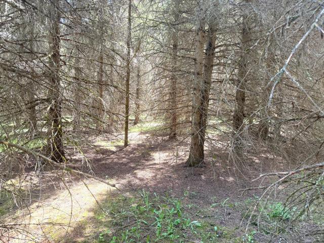 Land for sale in Minnesota