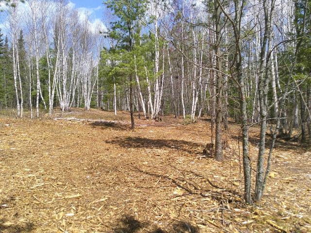 Land for sale in Minnesota