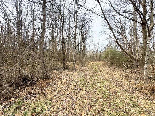 Property for sale in Jonesville, North Carolina