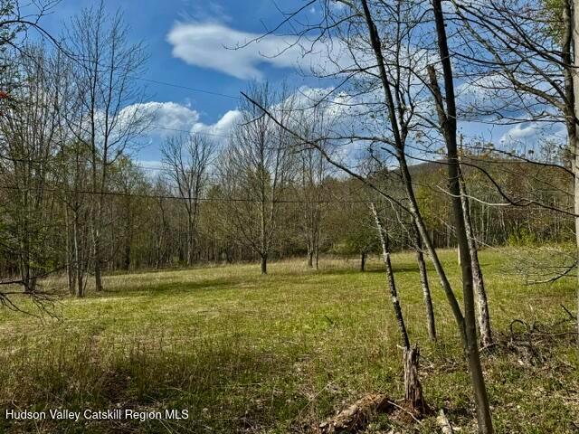Land for sale in New York
