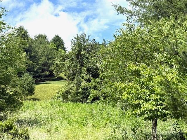 Land for sale in Jefferson, North Carolina