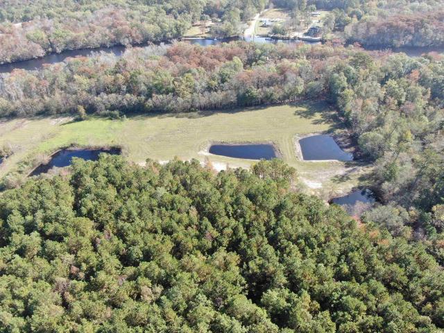 Land for sale in Mullins, South Carolina