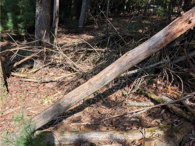 Land for sale in Sparta, Alleghany County