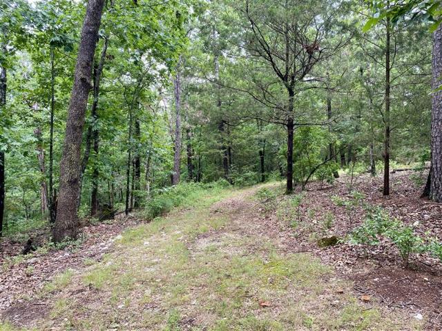 Land for sale in Ark
