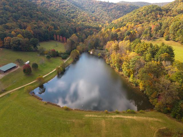 Land for sale in Ivanhoe, Wythe County