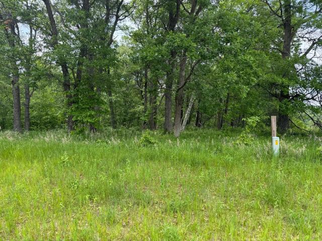 Land for sale in Crosslake, Minnesota