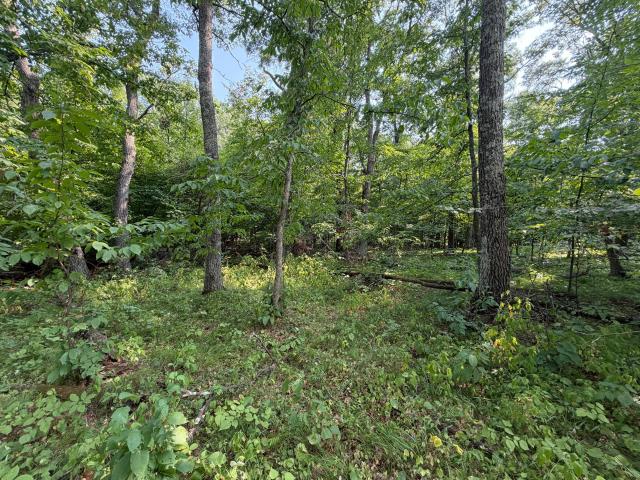 Land for sale in Breezy Point, Crow Wing County