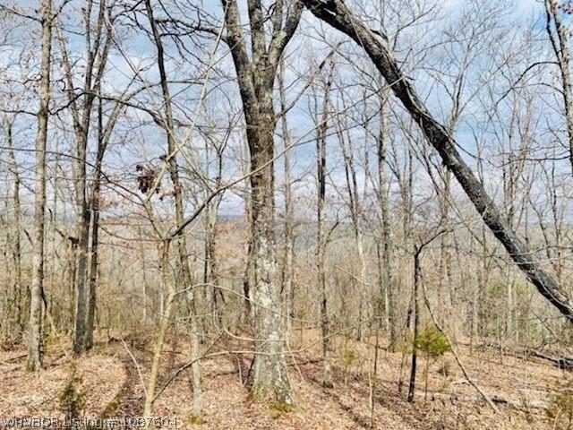 Land for sale in Ark