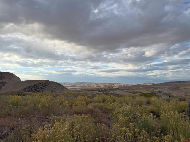Land for sale in Hotchkiss, Colorado