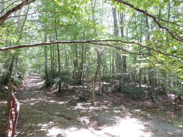 Land for sale in Virginia