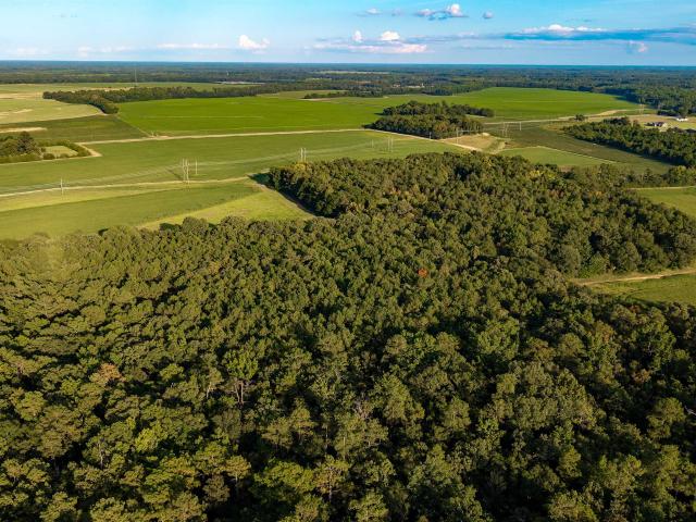 Land for sale in Hillcrest, Rembert
