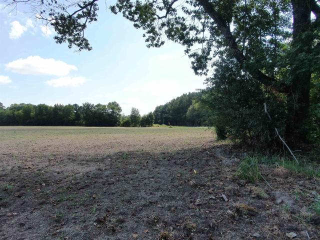 Land for sale in Mount Calvary, Dillon