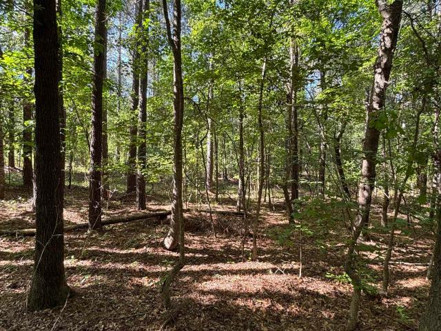 Land for sale in Manning, South Carolina