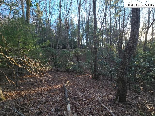 Land for sale in Jefferson, North Carolina