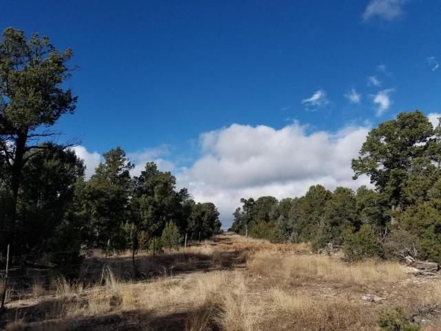 Land for sale in Pecos, New Mexico