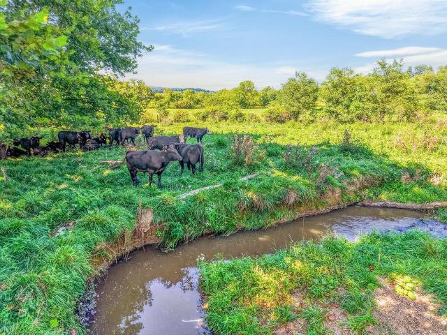 Land for sale in Virginia
