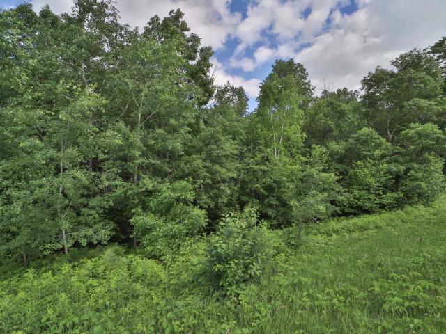 Land for sale in Crosslake, Minnesota