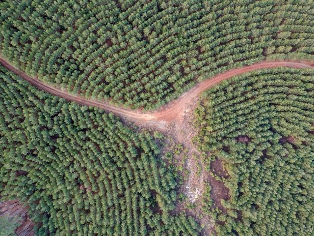 Land for sale in Virginia