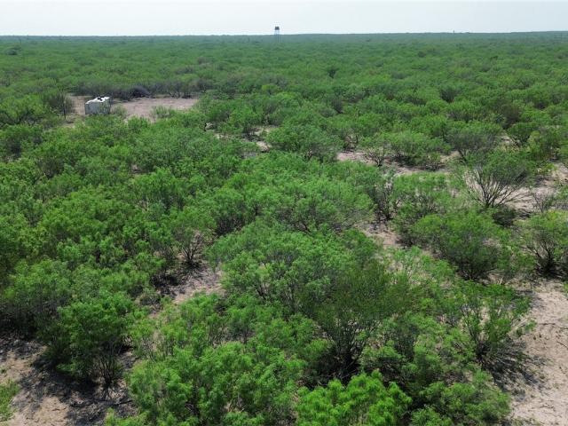 Farm for sale in Freer, Texas