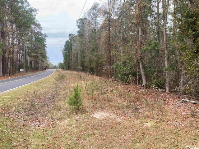 Land for sale in Johnsonville, South Carolina