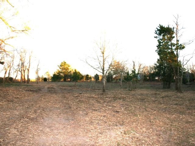 Land for sale in San Felipe, Texas