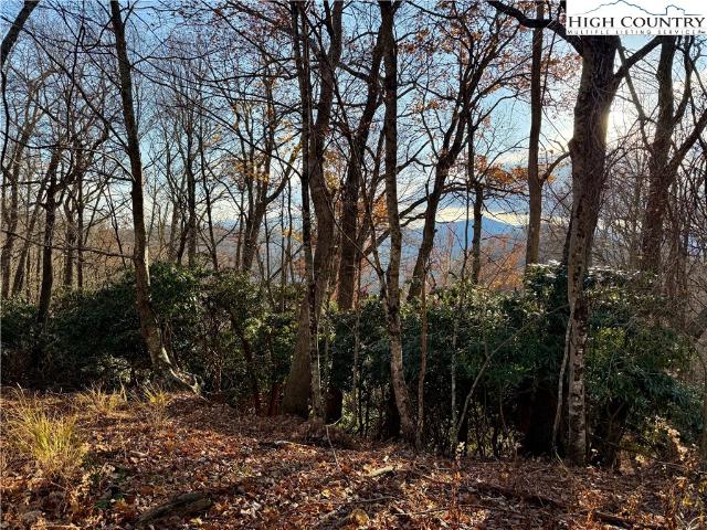 Land for sale in Watauga, North Carolina