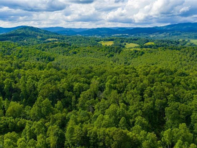 Land for sale in Alleghany, North Carolina