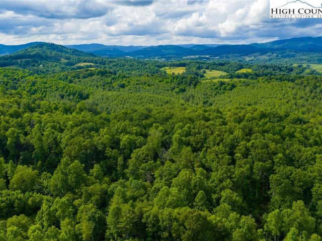 Land for sale in Alleghany, North Carolina