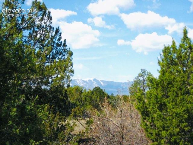 Land for sale in Rye, Colorado