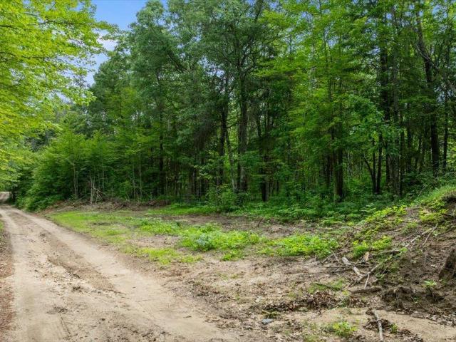 Land for sale in Minnesota