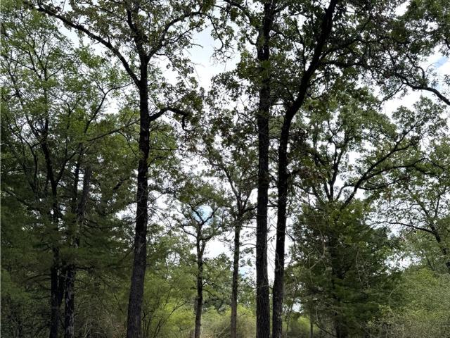 Land for sale in Robertson, Texas