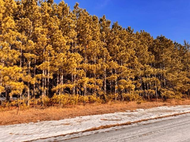 Land for sale in Wadena, Minnesota