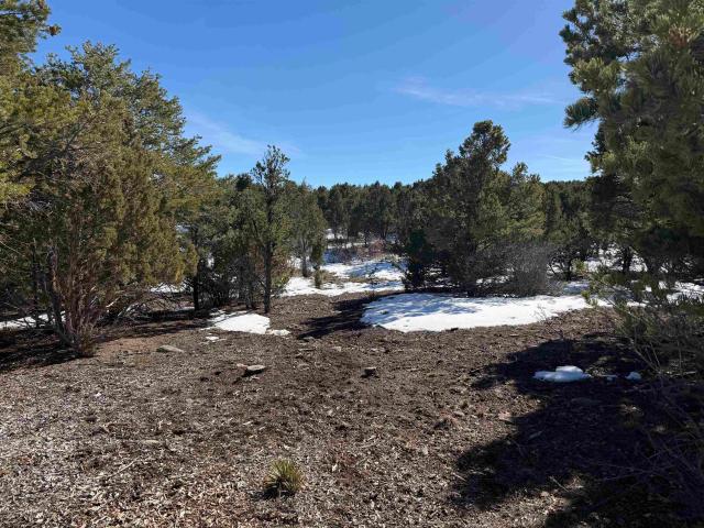 Property for sale in Ridgway, Colorado