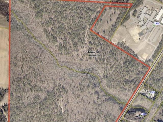Land for sale in Pelion, South Carolina
