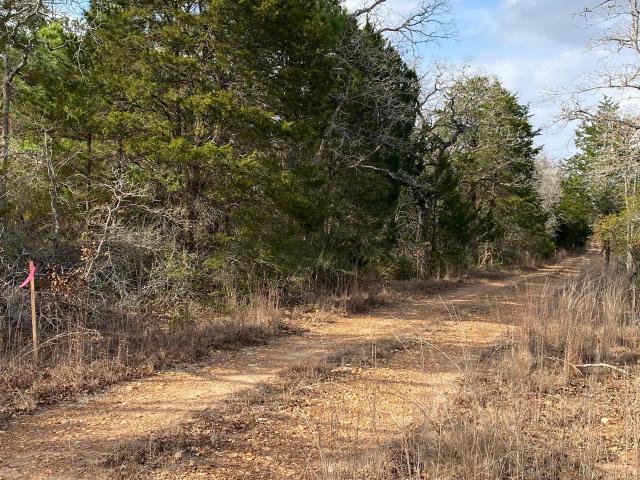 Land for sale in Paige, Texas