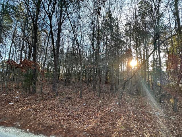 Land for sale in Conway, North Carolina
