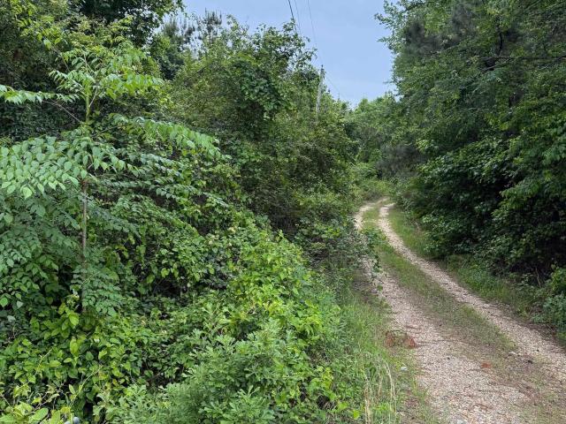 Land for sale in Ark