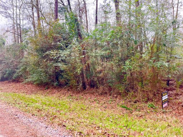 Land for sale in Shepherd, Texas