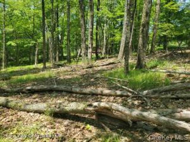 Land for sale in Accord, New York